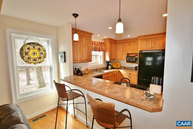 153 Timber Ridge Ln, Wintergreen Resort, VA 22967 - photo 5