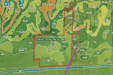 255 Cedar Grove Dr, Hickory Withe, TN 38002 - photo 3