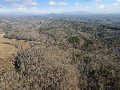 Drone / aerial view with a wooded view and a mount