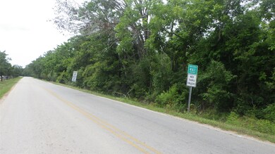 FM 521 at CR 461 Fm 521 Rd, Brazoria, TX 77422 - photo 4