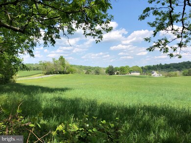 0 Sally Mill Rd unit 1001530950, Middleburg, VA 20117 - photo 5