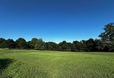 IMG_1547