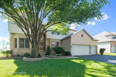 317 Prairieview Dr, Oswego, IL 60543 - photo 4