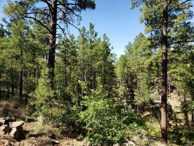 361 N Silverleaf