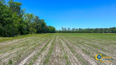 0 Risher Mountain Rd unit 25510472, Walterboro, SC 29488 - photo 6