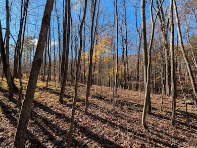 0 County Road 126, Greenwood, NY 14839 - photo 6