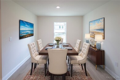 250 W Ruska Place, Citrus Springs, FL 34434 - photo 4