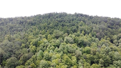 TBD Eagle Hills Rd unit Eagle Hills, Purlear, NC 28665 - photo 2