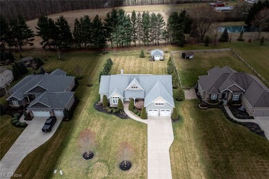 View of bird's eye view