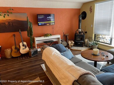 1211 Vine St unit 1211, Aspen, CO 81611 - photo 3