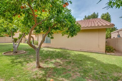 2413 W Barrow Dr, Chandler, AZ 85224 - photo 7