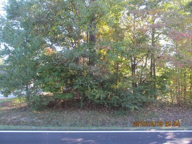 00 Ellis Cir, Chatsworth, GA 30705 - photo 2