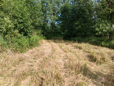 V/L 60 1 2 St, Bangor, MI 49013 - photo 4