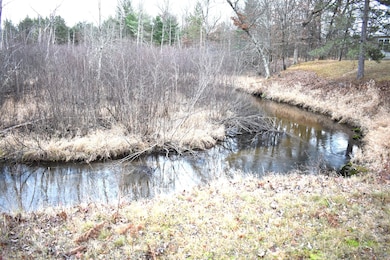 646 W 3 Mile Rd, Luther, MI 49656 - photo 2