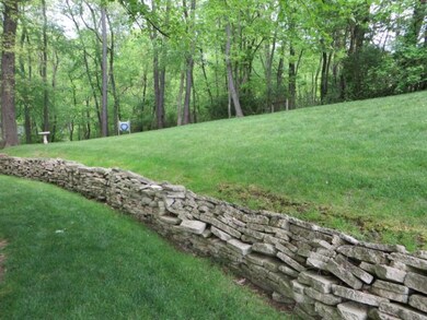 Side yard - room to roam!
