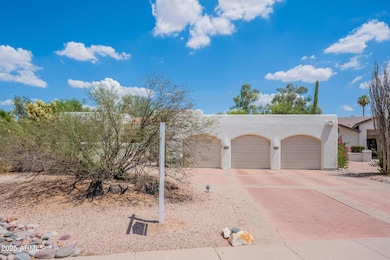 2-web-or-mls-San Felipe-2