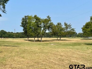 175 Acres County Road 1148, Cumby, TX 75472 - photo 4