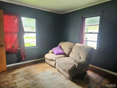 807 N Poplar St, Dexter, MO 63841 - photo 7