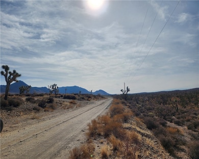 0000 N Tamarisk & Rainbow, Meadview, AZ 86444 - photo 6