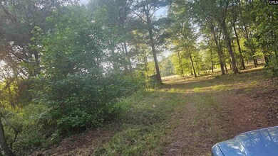 3064 Highway 1 N, Cassatt, SC 29032 - photo 7