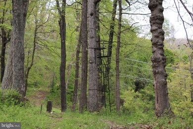 0 Chestnut Run Ln unit VARP107578, Sperryville, VA 22740 - photo 4