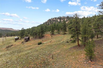 0 Brynmawr Rd, Pine, CO 80470 - photo 5