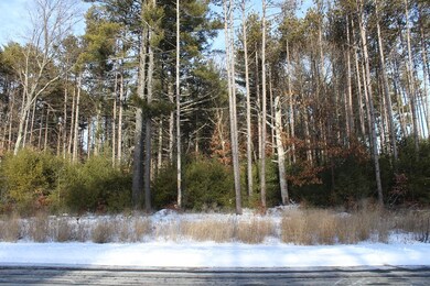 26 Frontier Ln, Millis, MA 02054 - photo 2