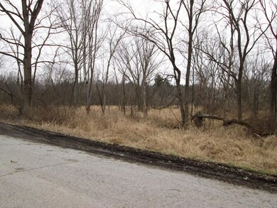 6661 W 113th Ct, Crown Point, IN 46307 - photo 2