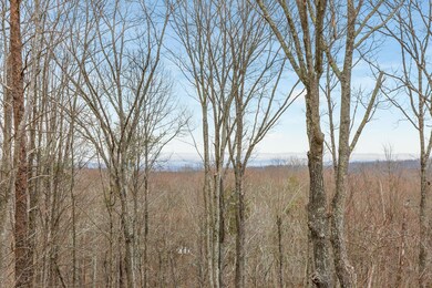 2025_03_March_141_Lookout_Crest_Ln_0017