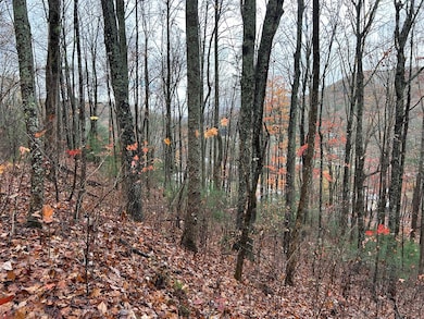 Lt12&13 Butternut Grove Rd, Blairsville, GA 30512 - photo 3