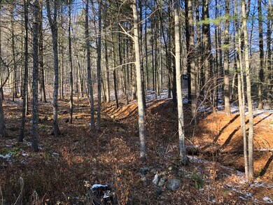 Bald Lightly Wooded