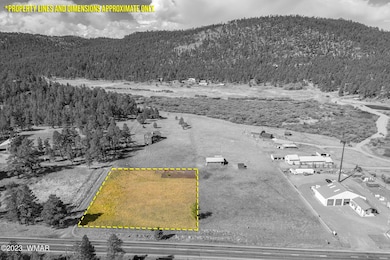 21 N1014, Greer, AZ 85927 - photo 7
