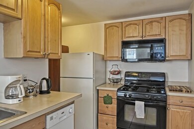 375 Western Ave unit 2, Cambridge, MA 02139 - photo 7