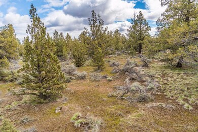 19725 Connarn Rd, Bend, OR 97701 - photo 2