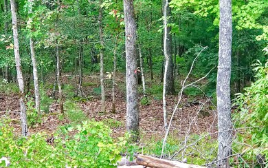 Additional View