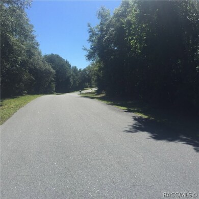 1437 E Wedgewood Ln, Hernando, FL 34442 - photo 5