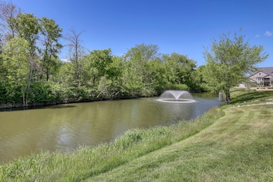 Pond Views