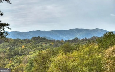 100 Blueberry Ln, Blue Ridge, GA 30513 - photo 5