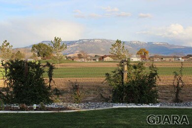 Enjoy the spectacular golf course & Grand Mesa vie