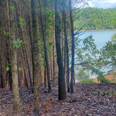 View from adjoining cleared lot
