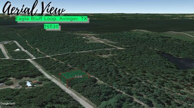 0 Eagle Bluff Loop unit Avinger TX 75630, Avinger, TX 75630 - photo 7