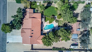 Misty Willow DRONE PHOTOS (5)