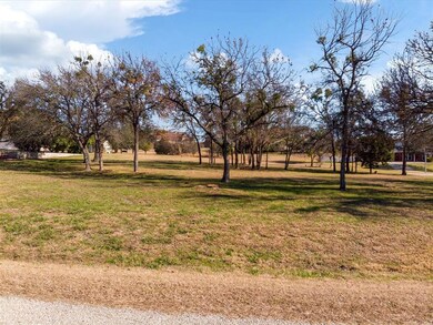 1405 Lady Amber Ln, Granbury, TX 76049 - photo 5