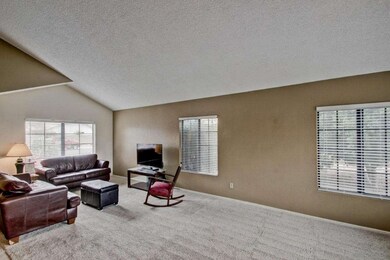 Bright and Roomy Living Room
