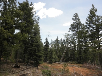 Lot Picture 3