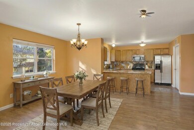 830 Donegan Rd unit D, Glenwood Springs, CO 81601 - photo 3