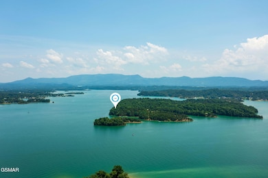 Parcel 020 Douglas Lake, Dandridge, TN 37725 - photo 5