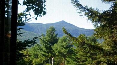 14 Tripyramid Way unit 17, Waterville Valley, NH 03215 - photo 4