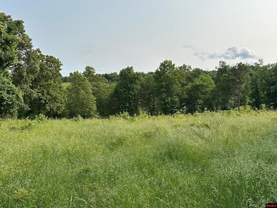 001-07371-001 Mc 5014, Everton, AR 72633 - photo 3