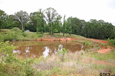 16931 County Road 2203, Arp, TX 75750 - photo 4